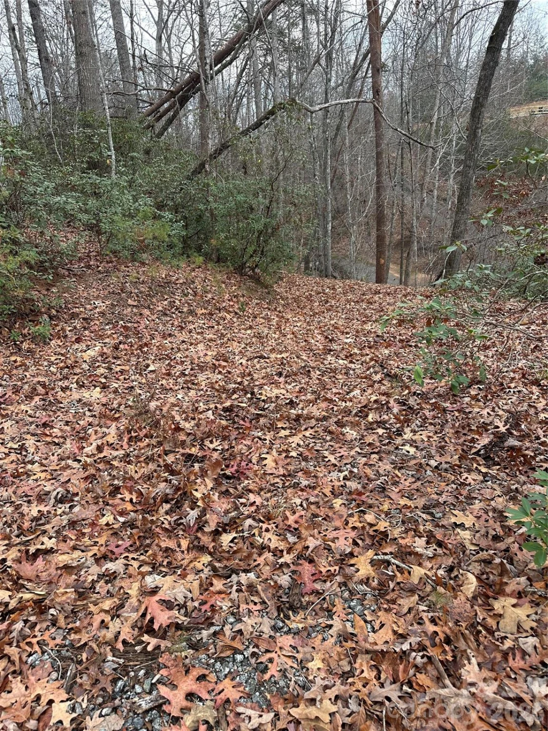 2 Jackson Cove Road W - Photo 13