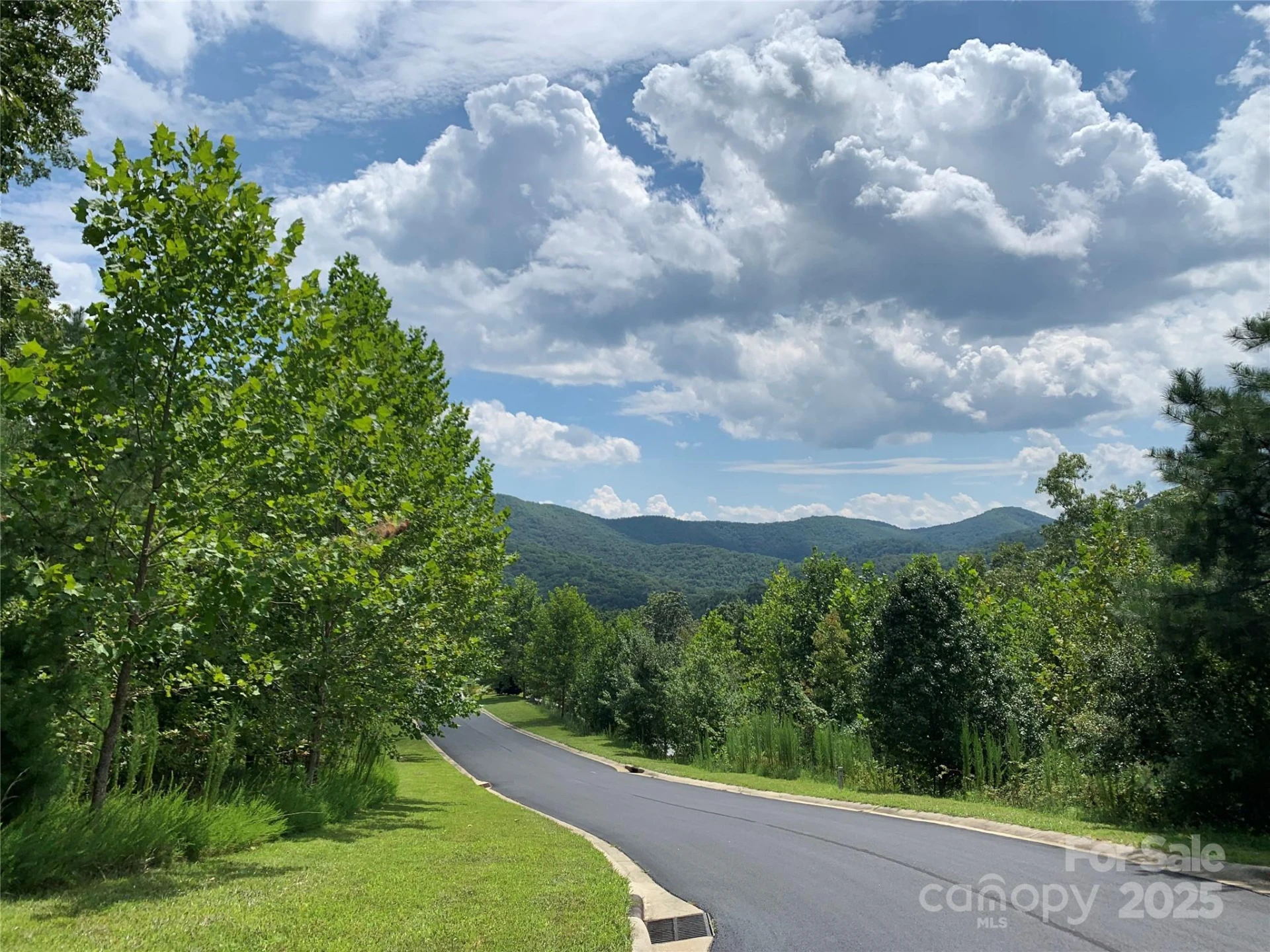 555 Stonefly Drive #145 - Photo 5