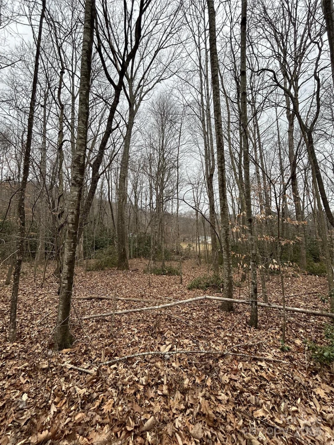 000 Lytle Cove Road - Photo 16