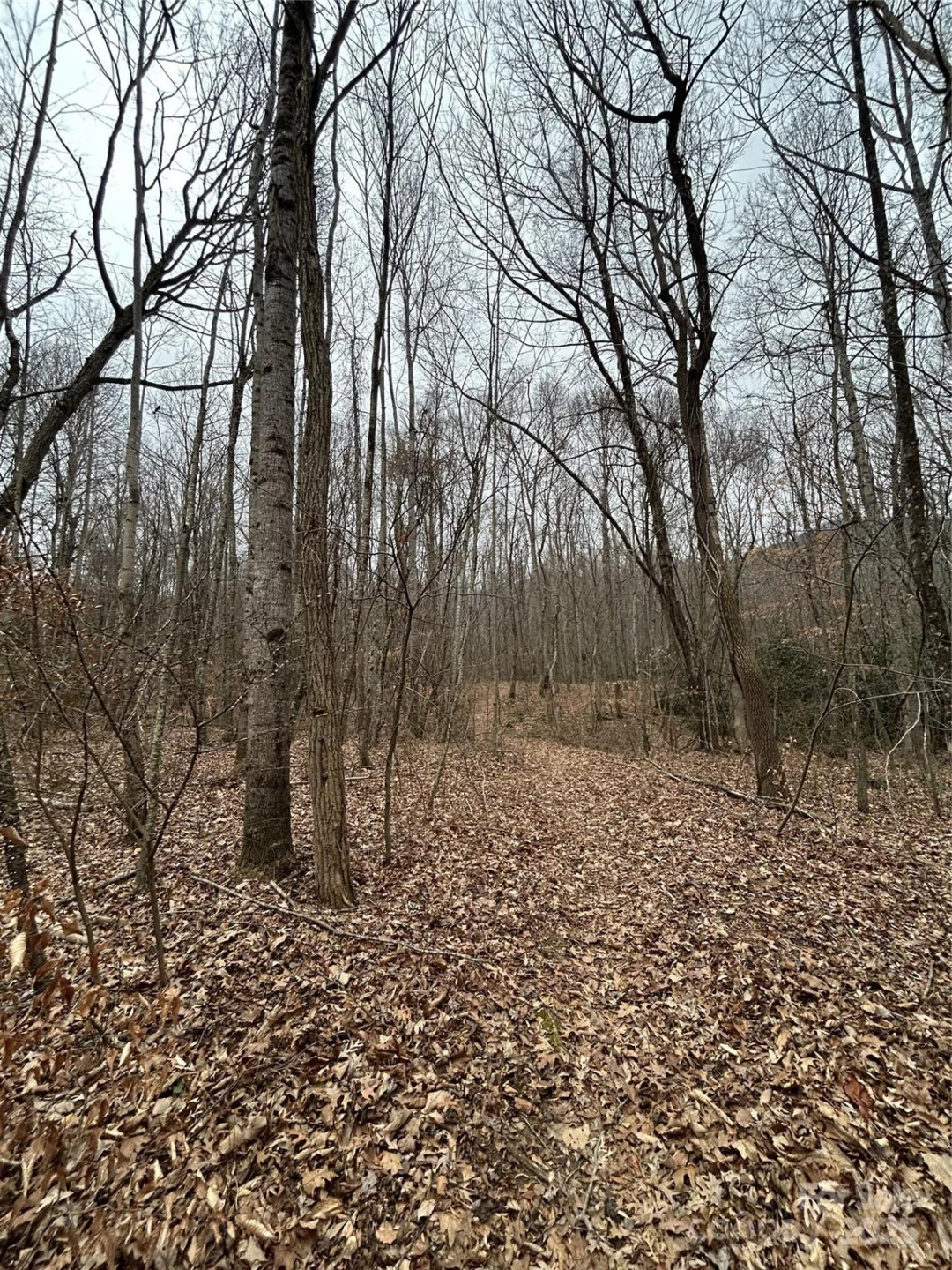 000 Lytle Cove Road - Photo 17