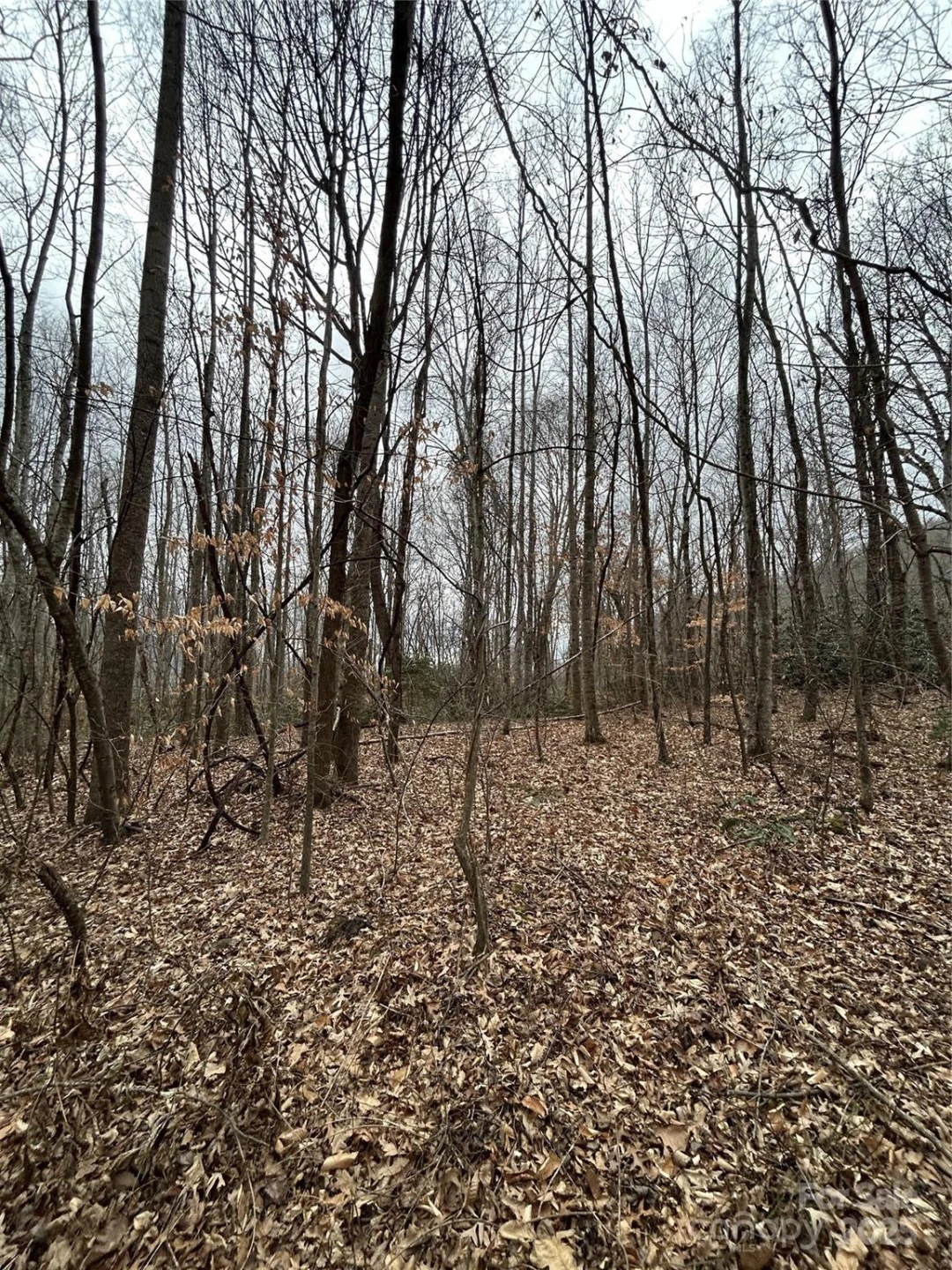 000 Lytle Cove Road - Photo 20
