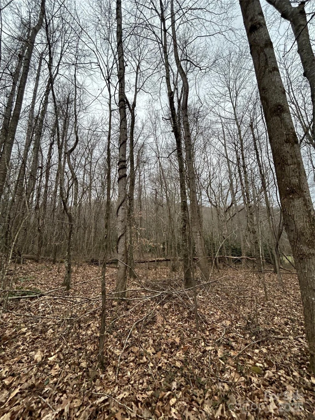 000 Lytle Cove Road - Photo 21
