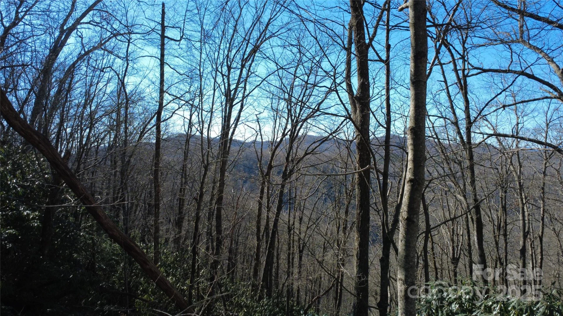 Lot 18 Joshua Road