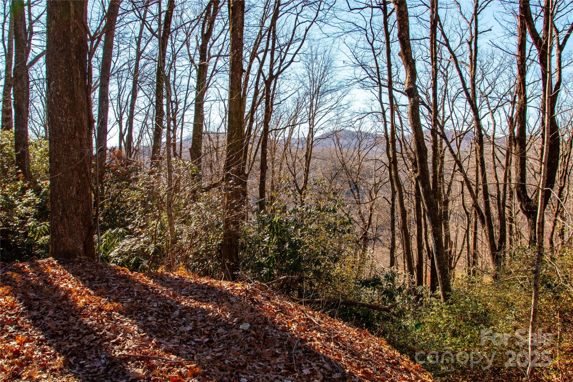 Lot 18 Joshua Road - Photo 2
