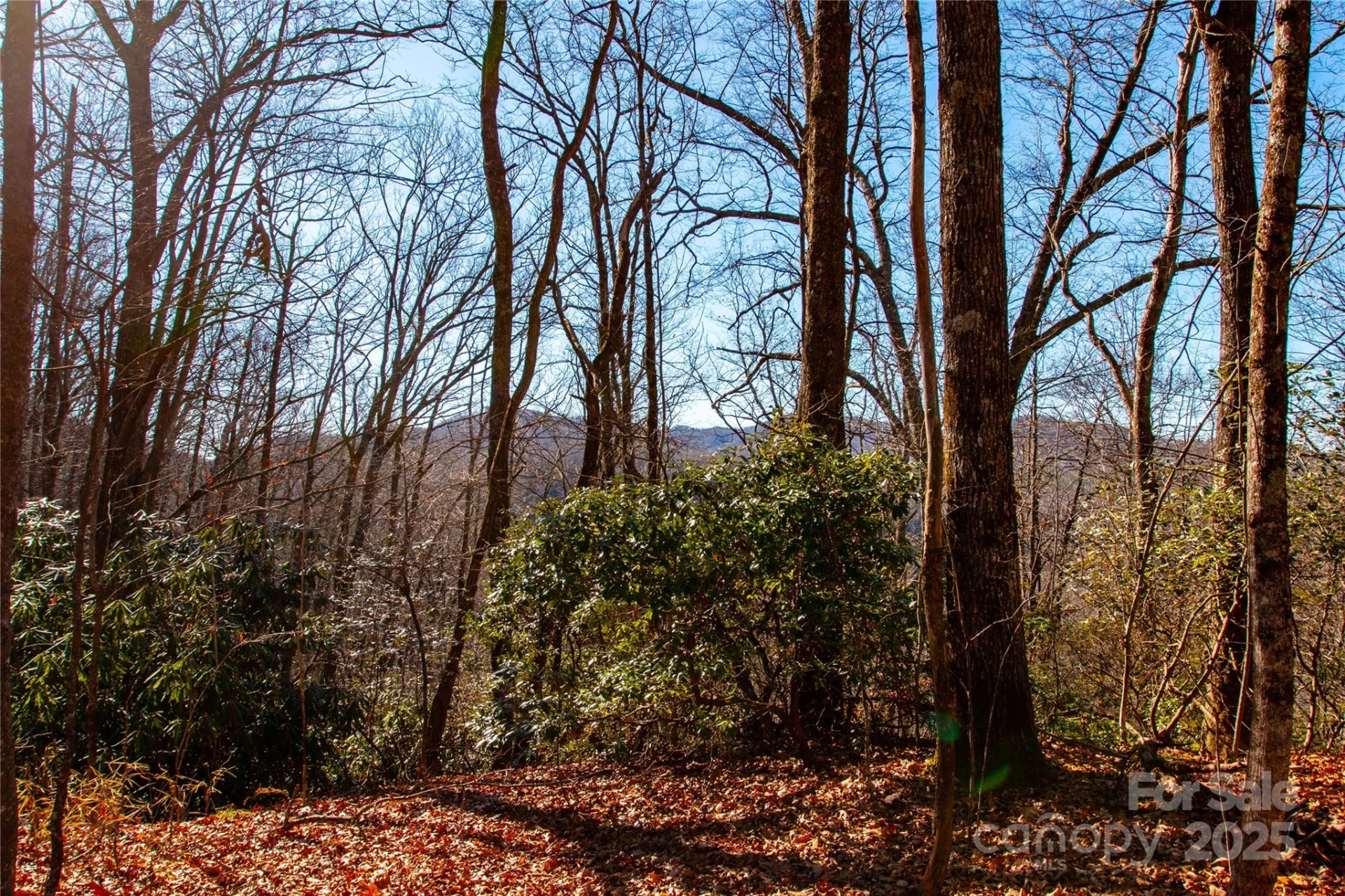 Lot 18 Joshua Road - Photo 12