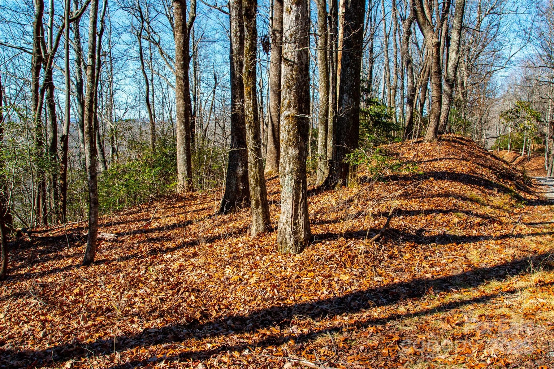 Lot 18 Joshua Road - Photo 13