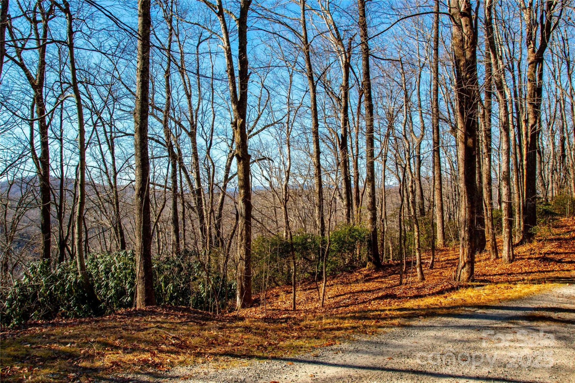 Lot 18 Joshua Road - Photo 17
