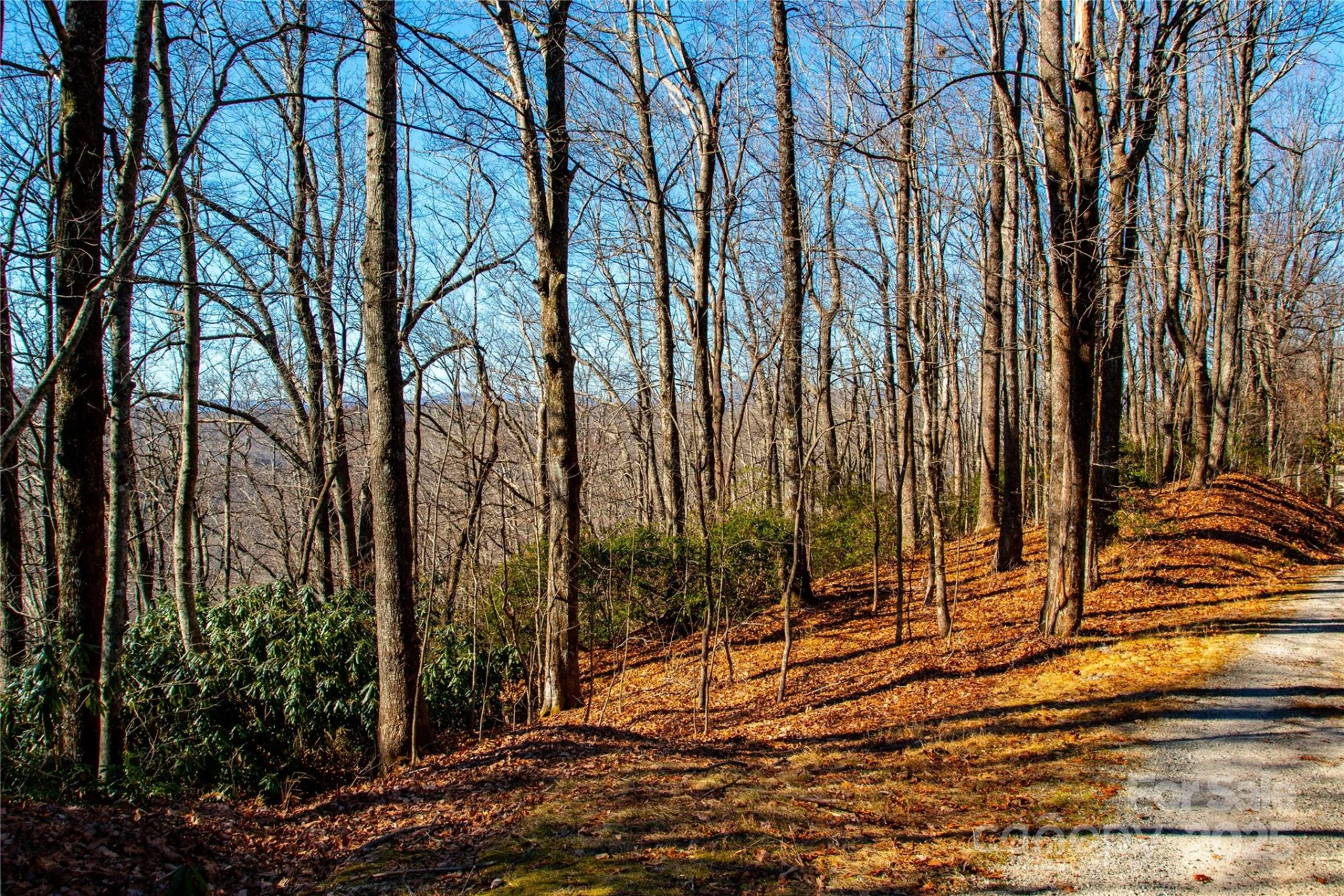 Lot 18 Joshua Road - Photo 19