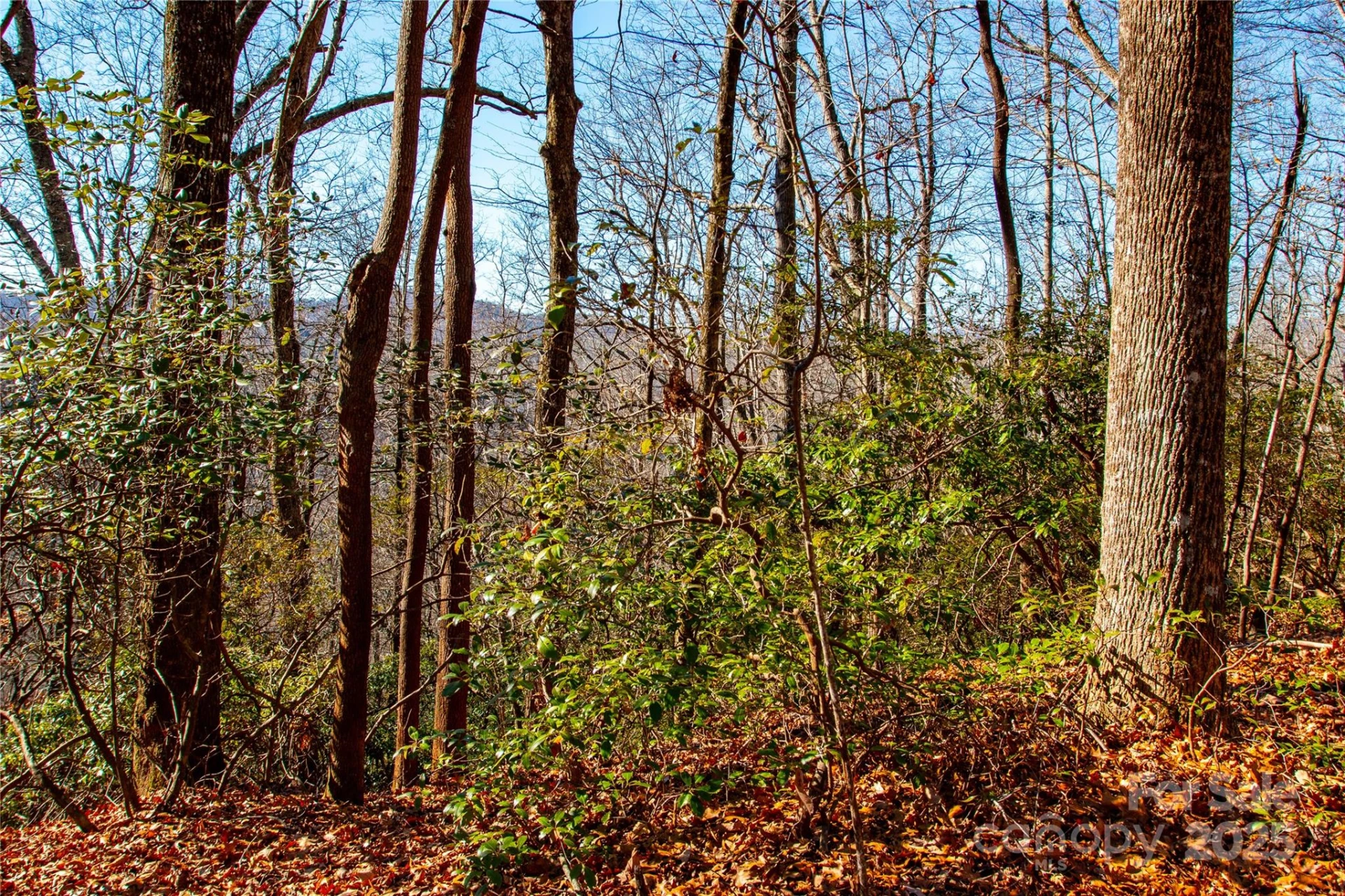 Lot 18 Joshua Road - Photo 5