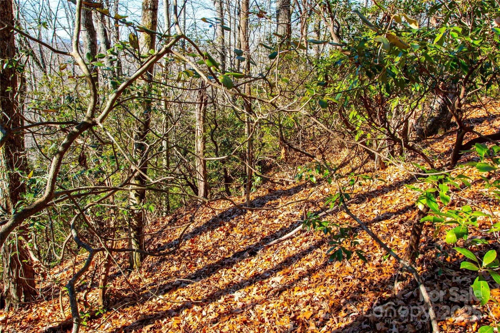 Lot 18 Joshua Road - Photo 8