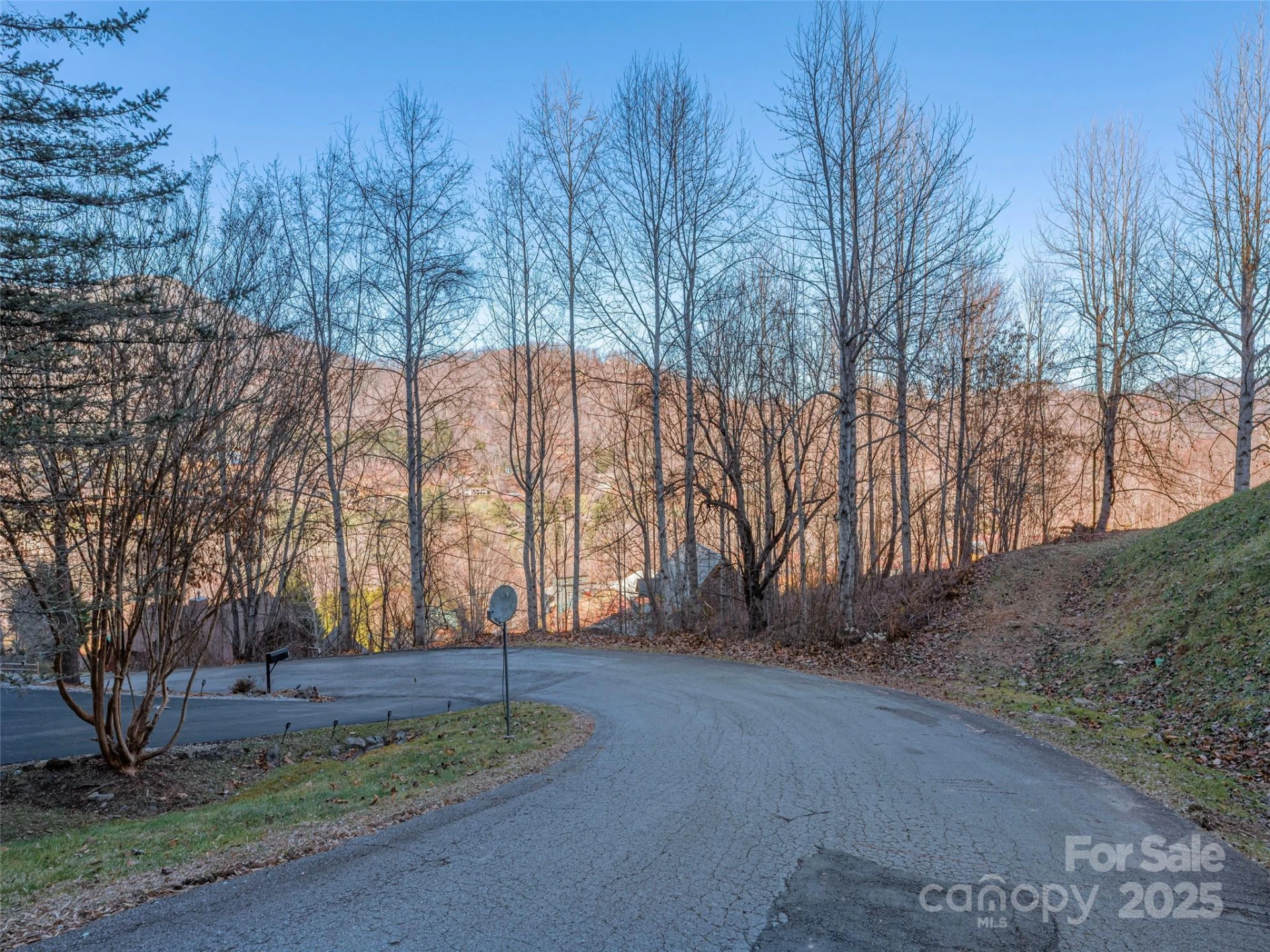 000 Appalachian Trail - Photo 2