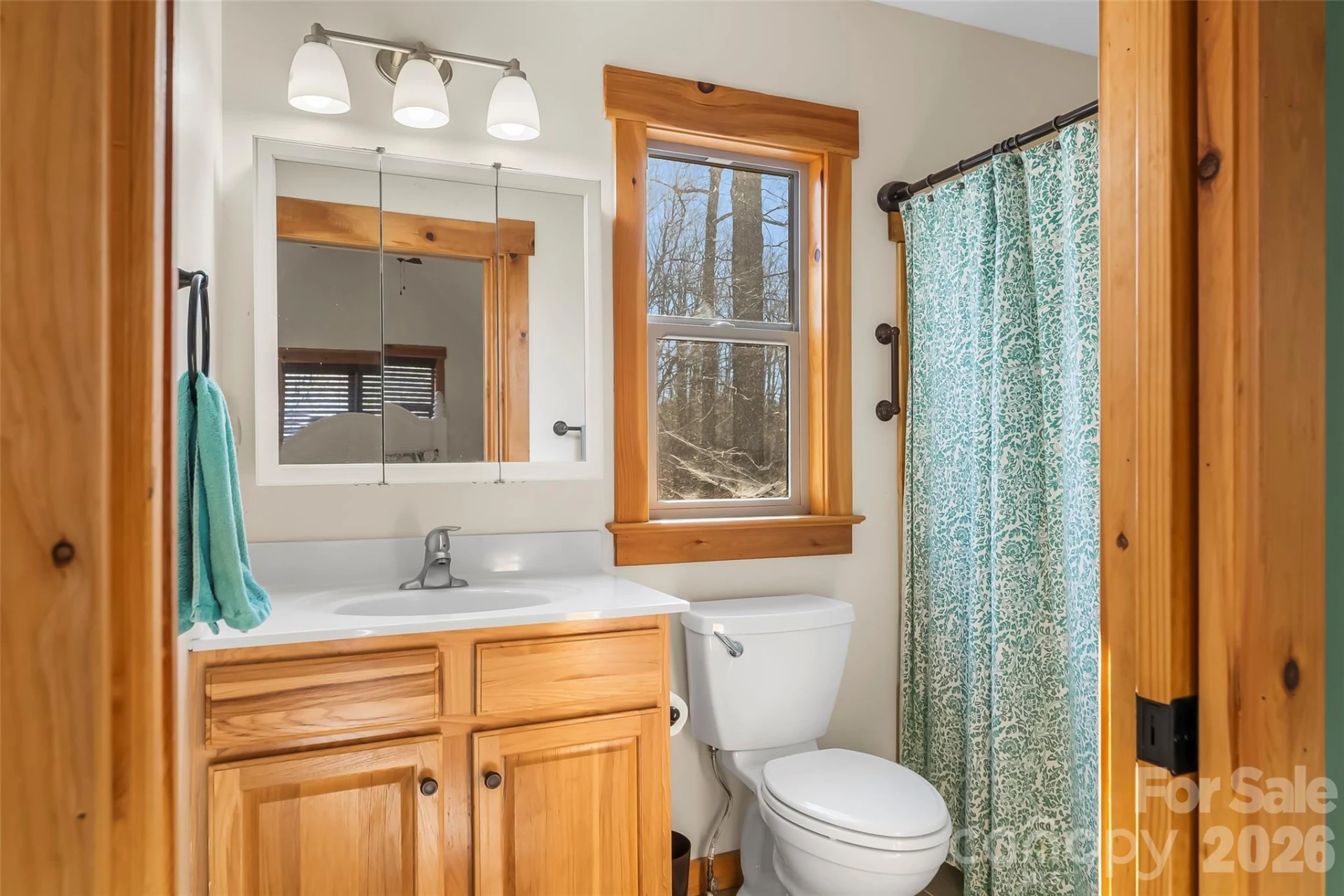 204 Mountain Vista Drive - Photo 29