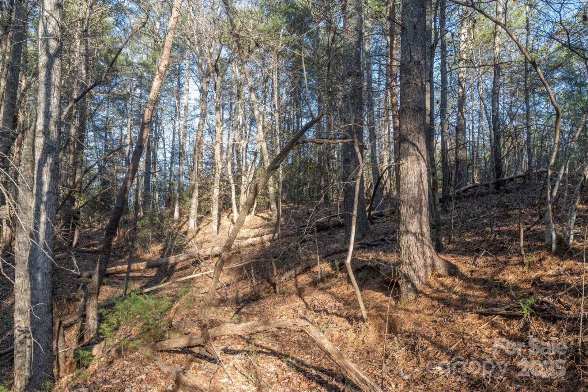 49 Lake James Road - Photo 11