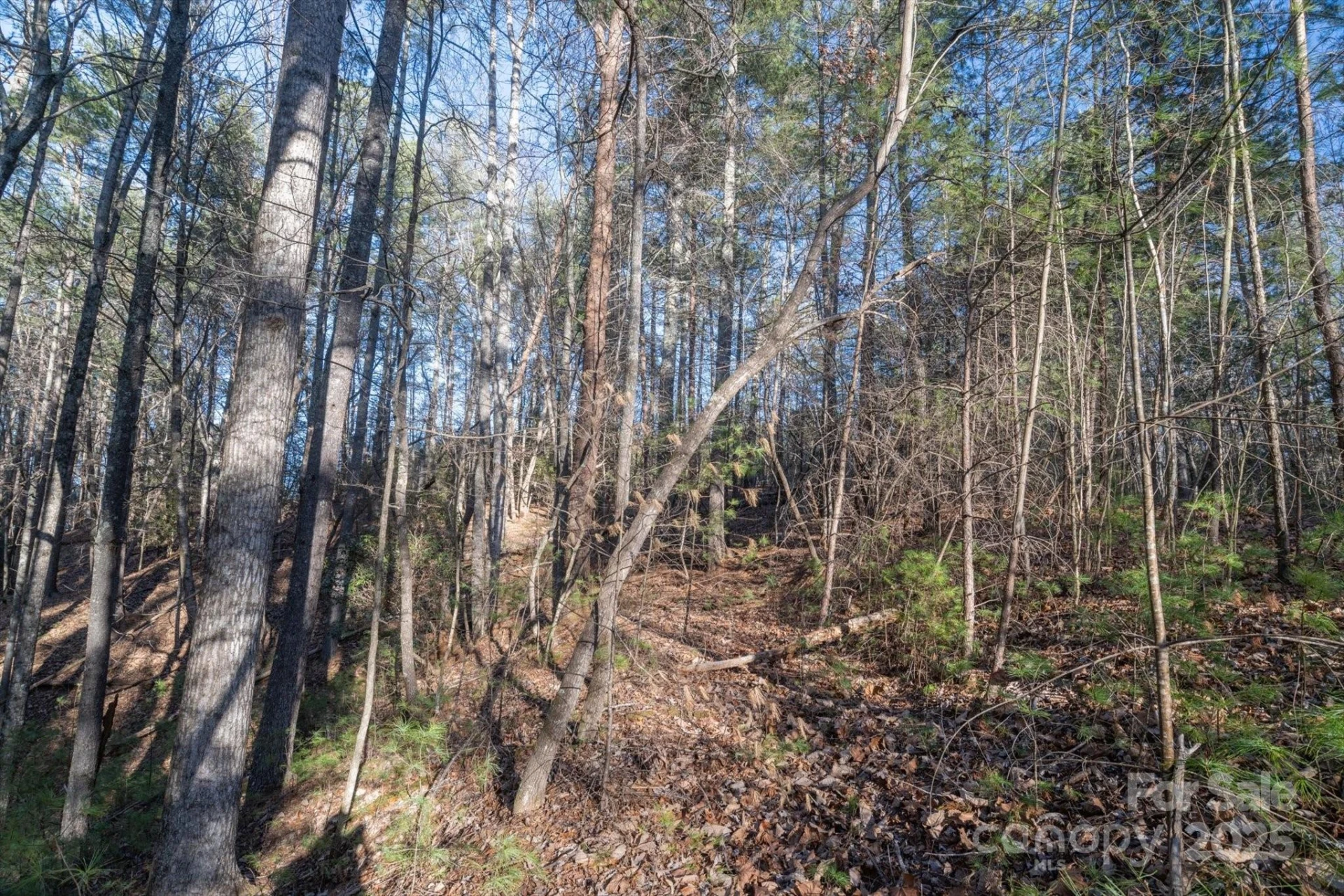 49 Lake James Road - Photo 12