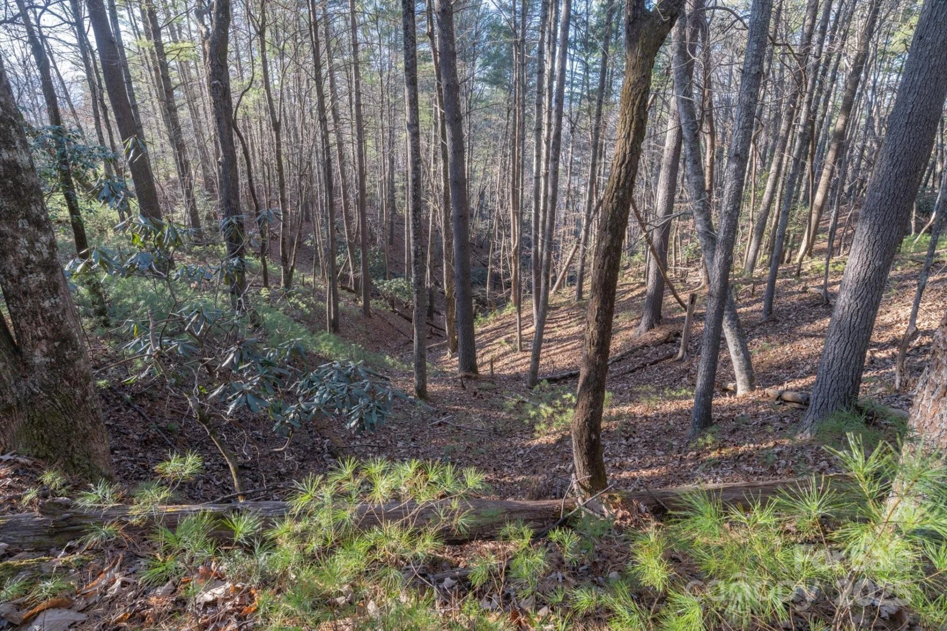 49 Lake James Road - Photo 9