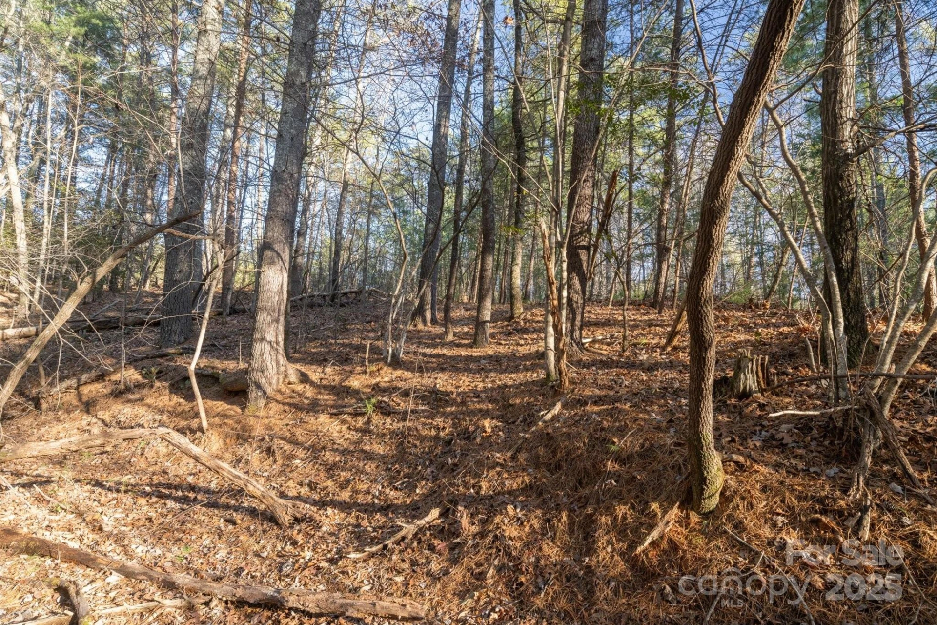 49 Lake James Road - Photo 10