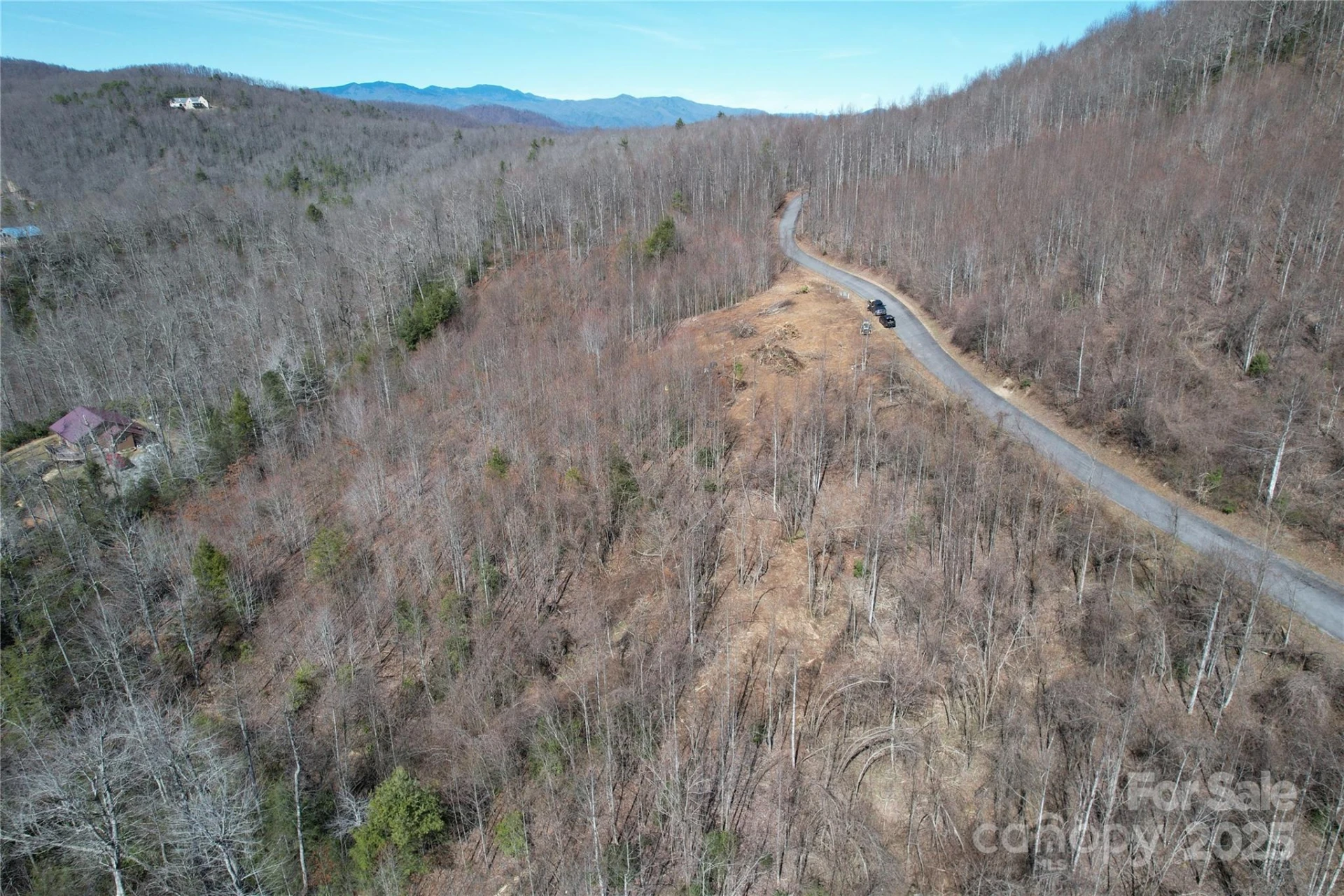 55 Major Mountain Road - Photo 2