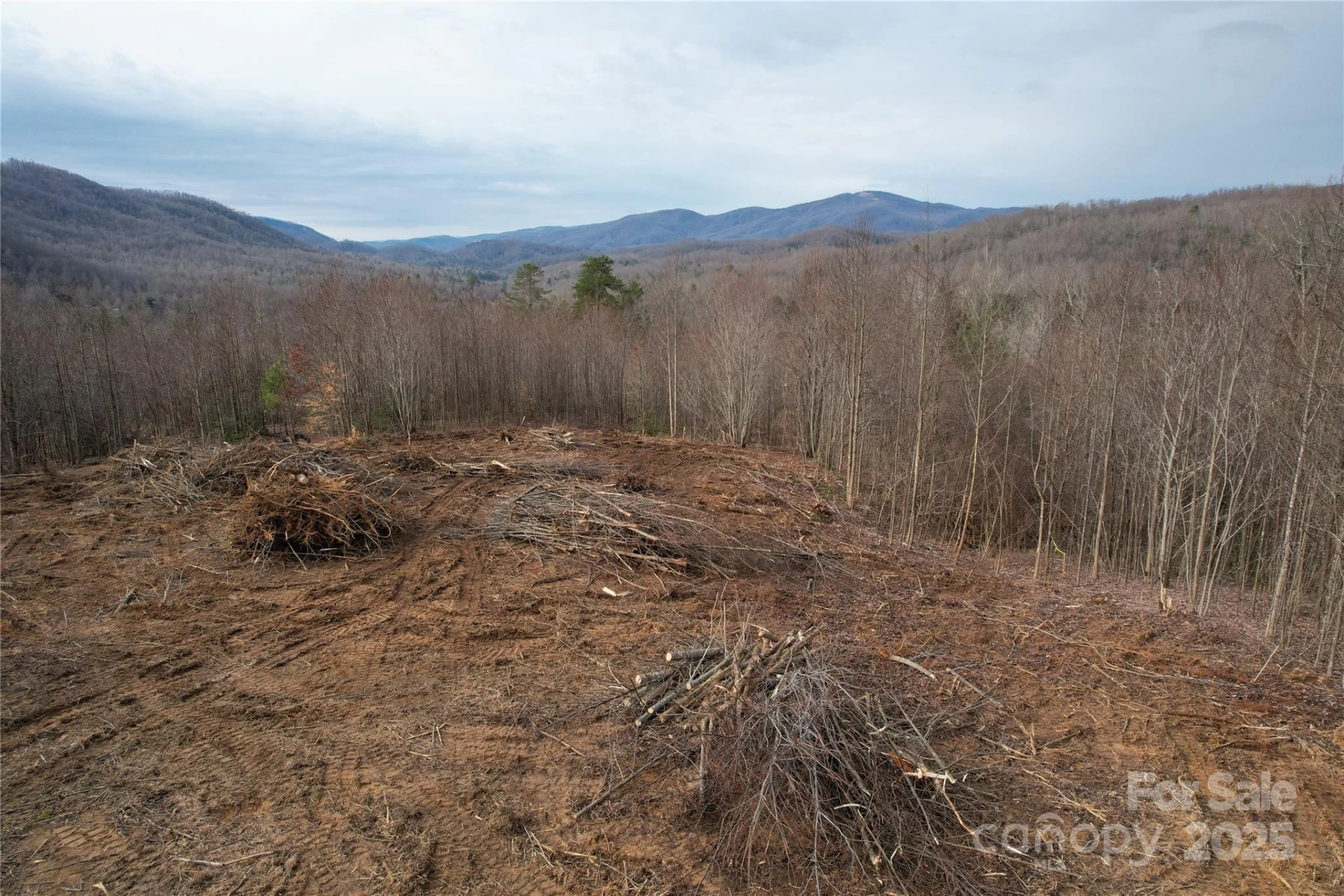55 Major Mountain Road - Photo 8