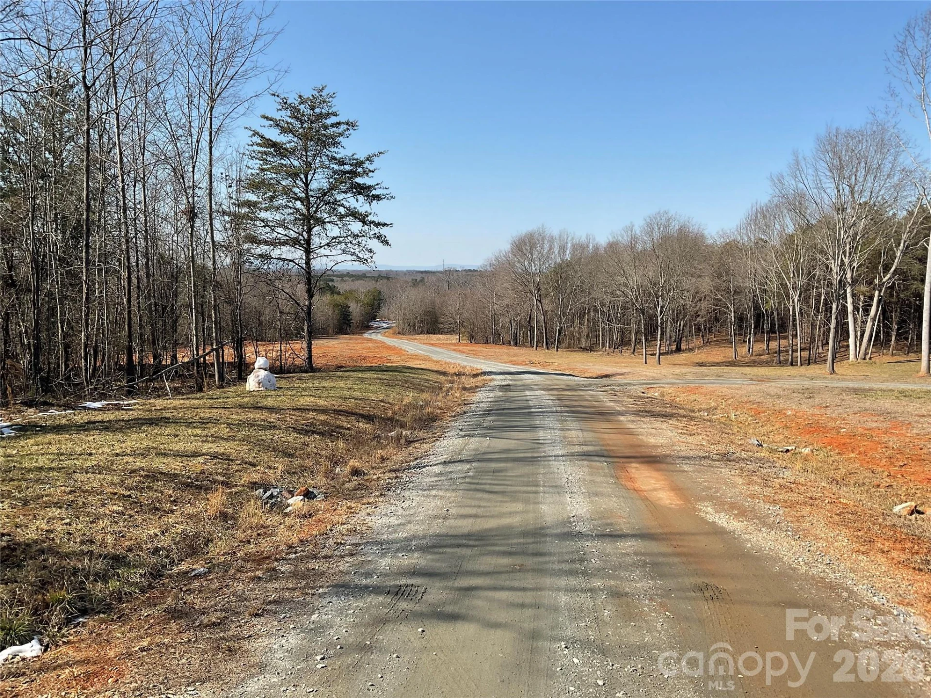 0 Springbrook Lane - Photo 2