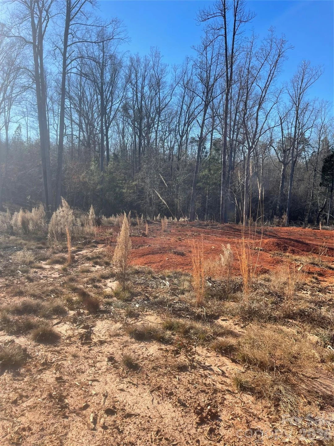 0 Springbrook Lane - Photo 12