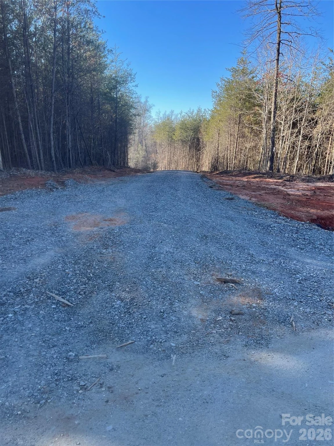 0 Springbrook Lane - Photo 8