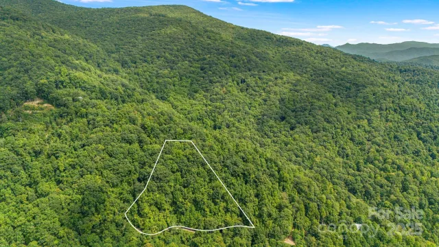 Lot 21 Cat Pen Branch Road