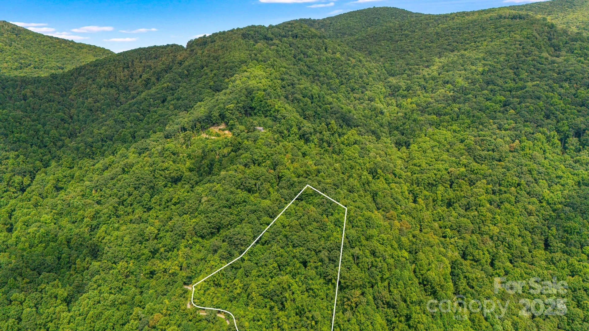 Lot 21 Cat Pen Branch Road - Photo 2