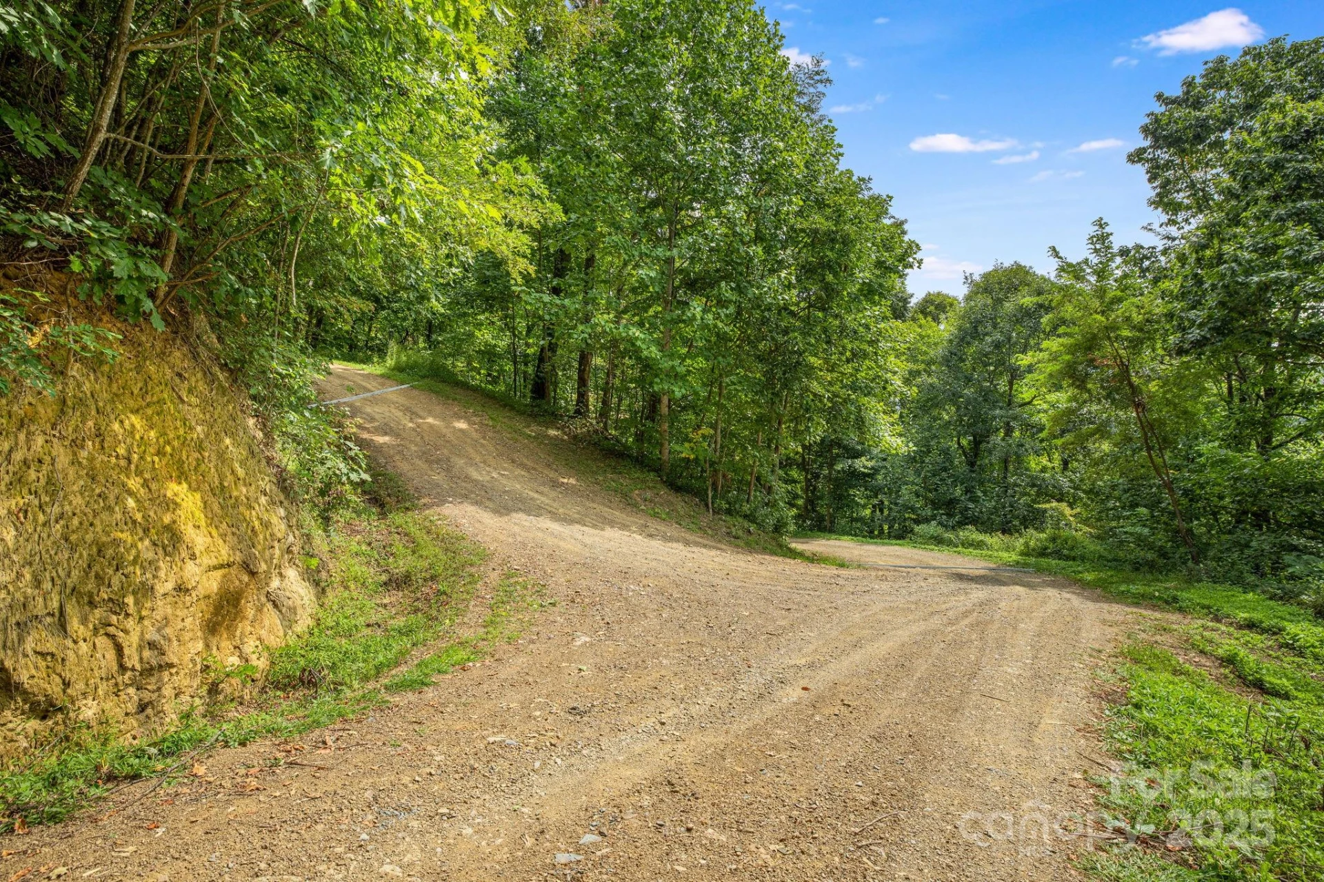 Lot 21 Cat Pen Branch Road - Photo 13