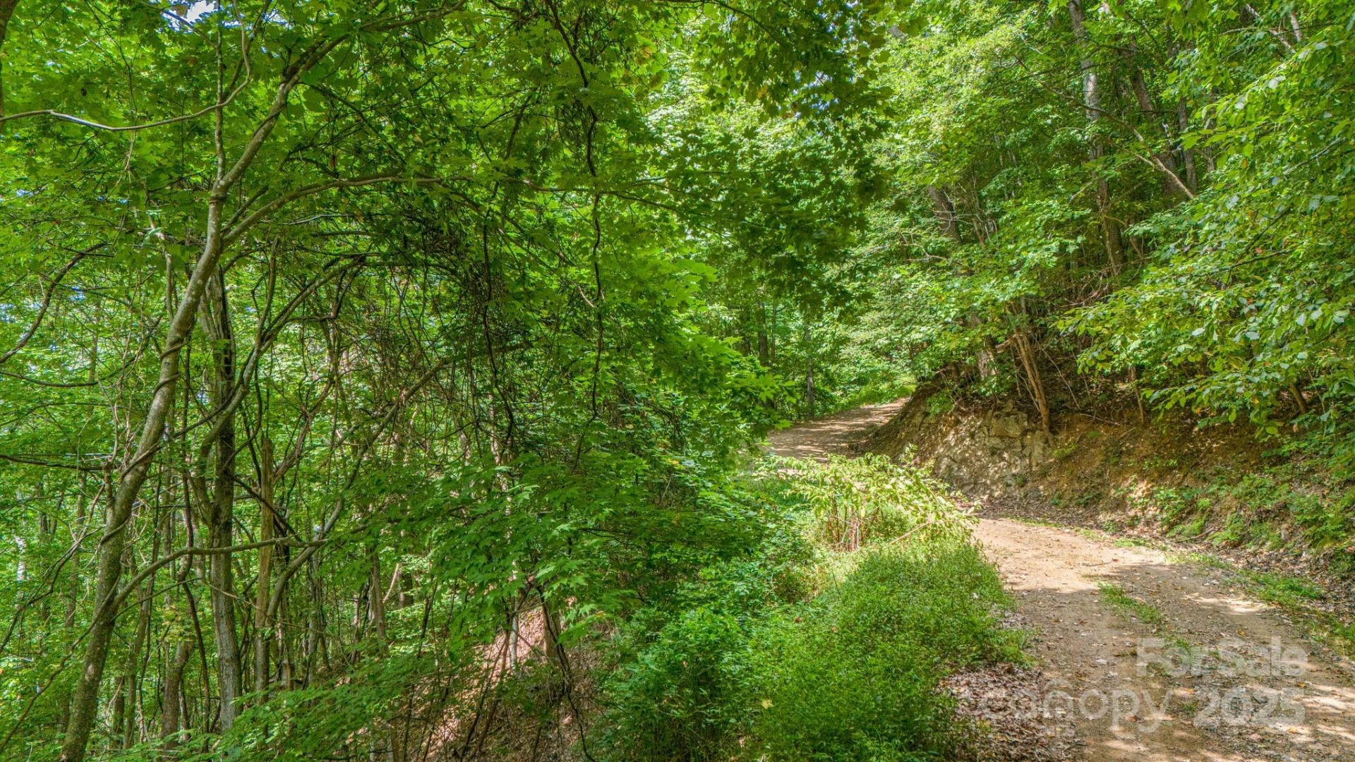 Lot 21 Cat Pen Branch Road - Photo 14