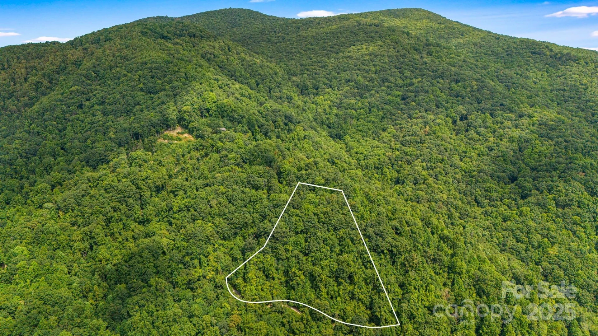 Lot 21 Cat Pen Branch Road - Photo 3