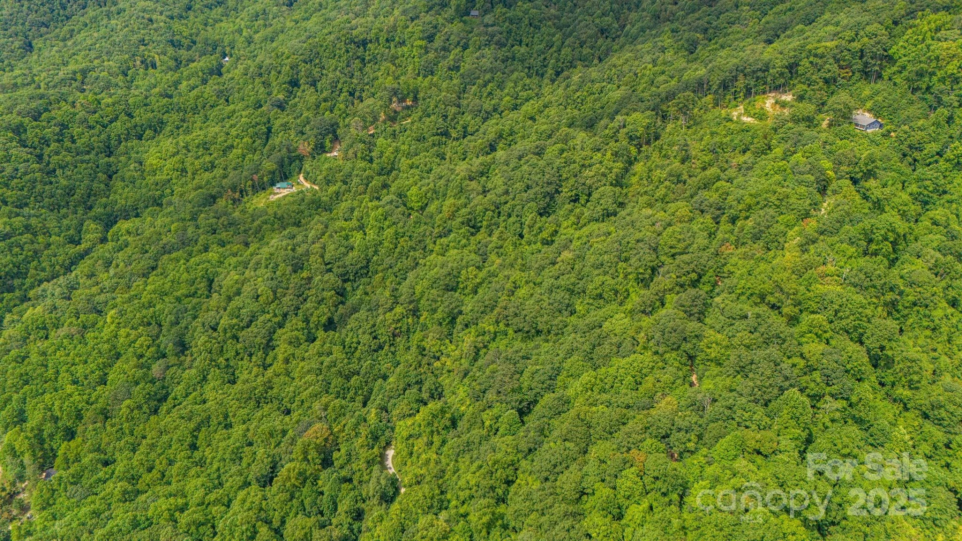 Lot 21 Cat Pen Branch Road - Photo 28