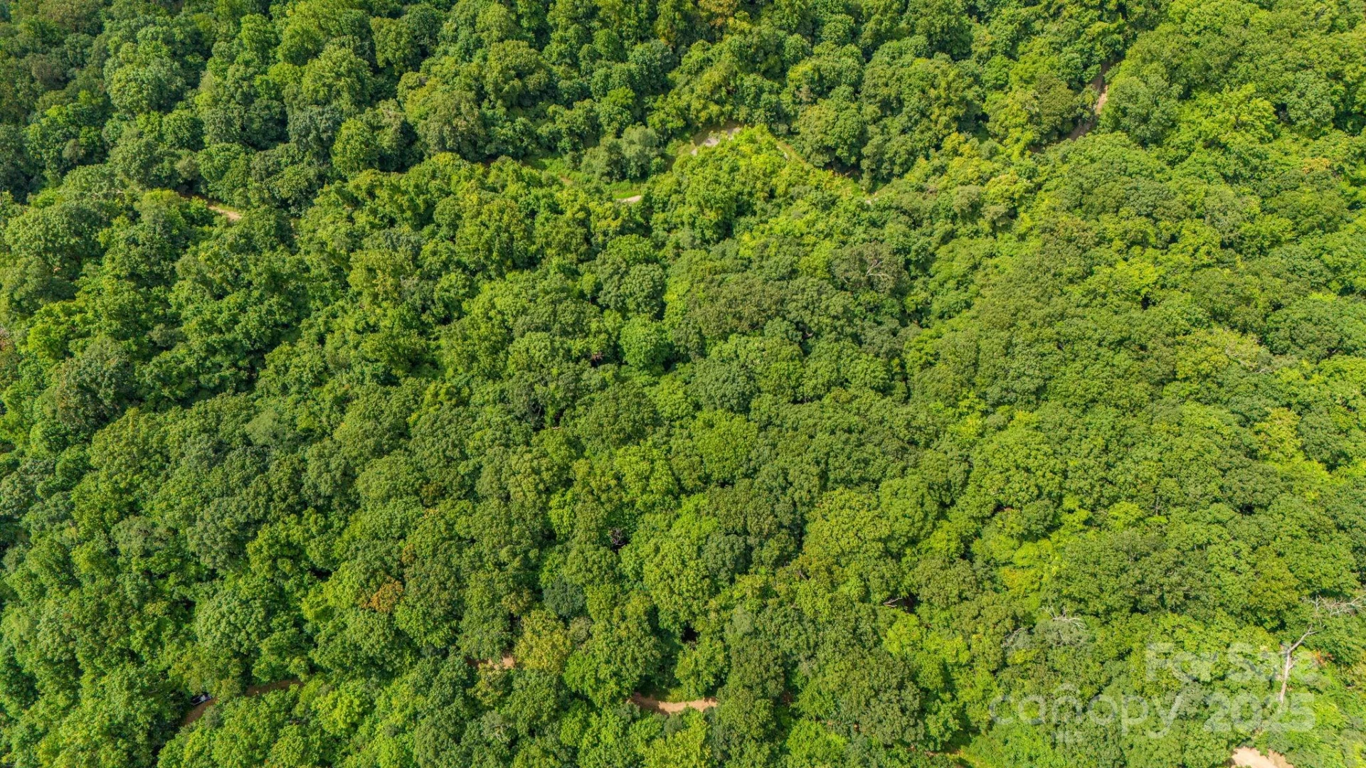 Lot 21 Cat Pen Branch Road - Photo 29