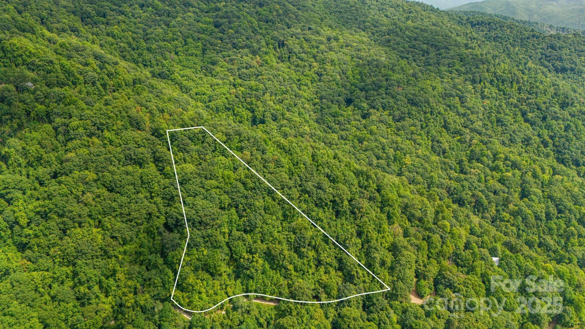 Lot 21 Cat Pen Branch Road - Photo 9