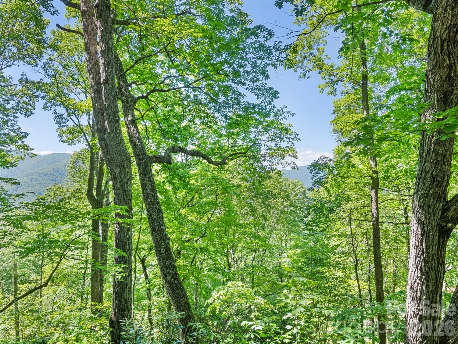 1392 Mount Chalet Road - Photo 14