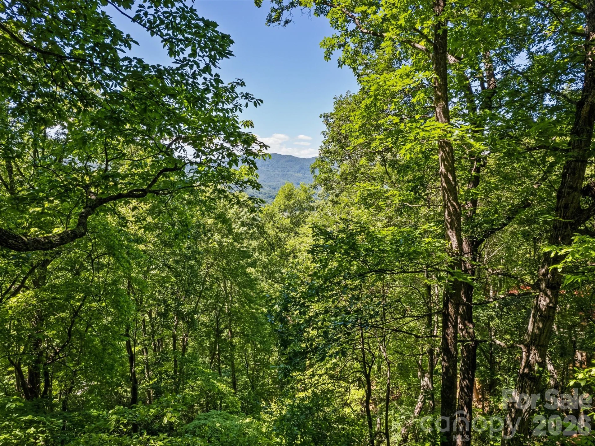 1392 Mount Chalet Road - Photo 5