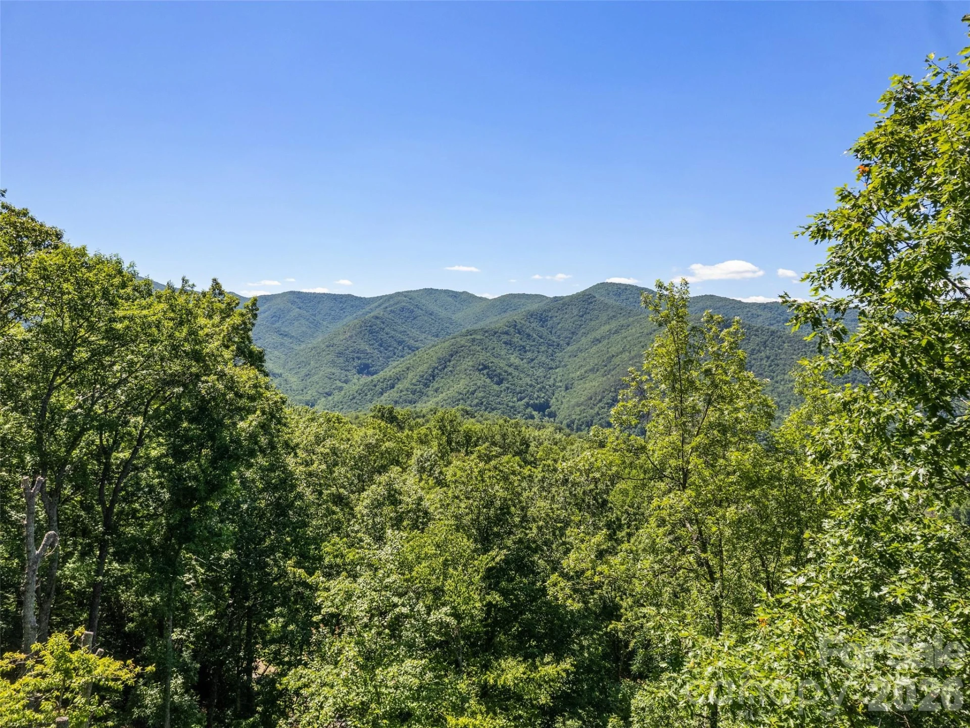 1392 Mount Chalet Road - Photo 6