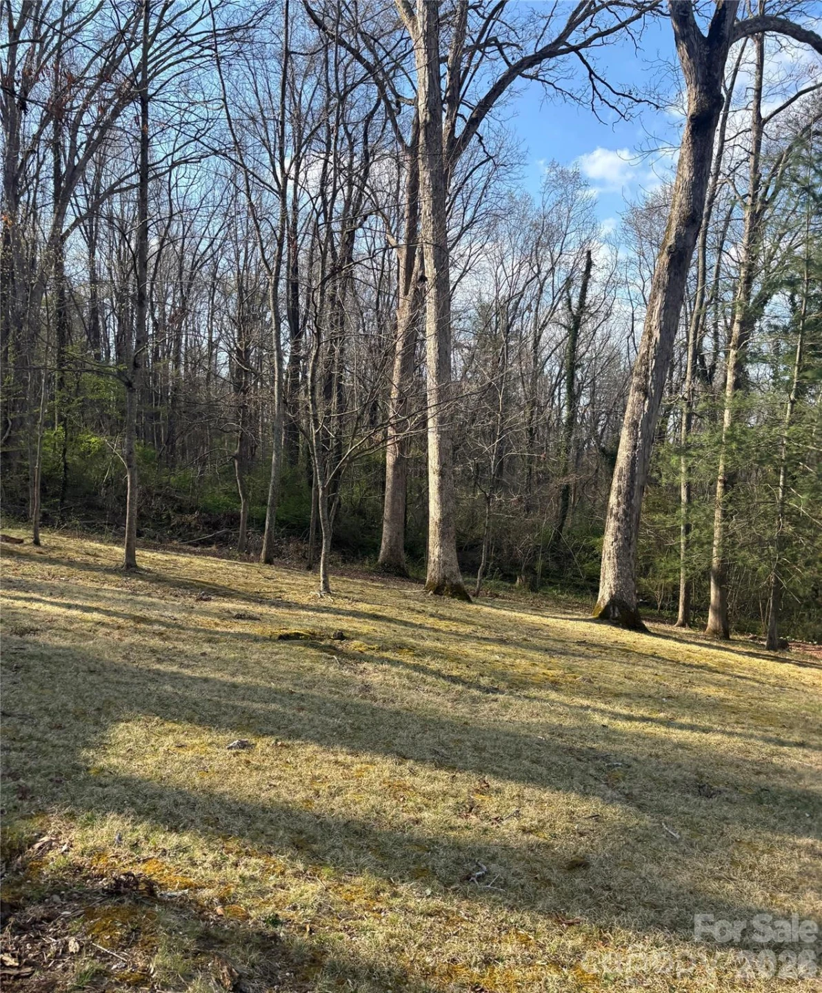 67 Shawnee Trail - Photo 24
