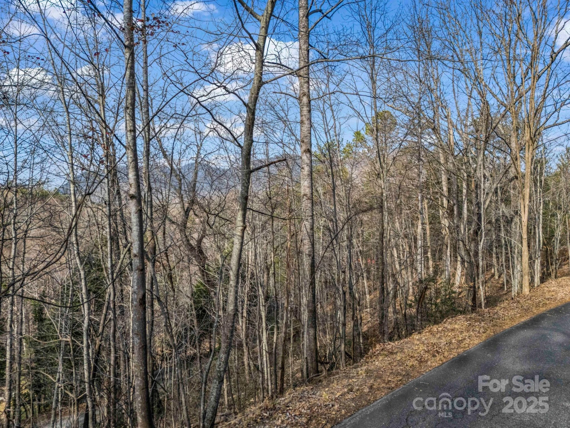 0000 Holmes Road - Photo 2