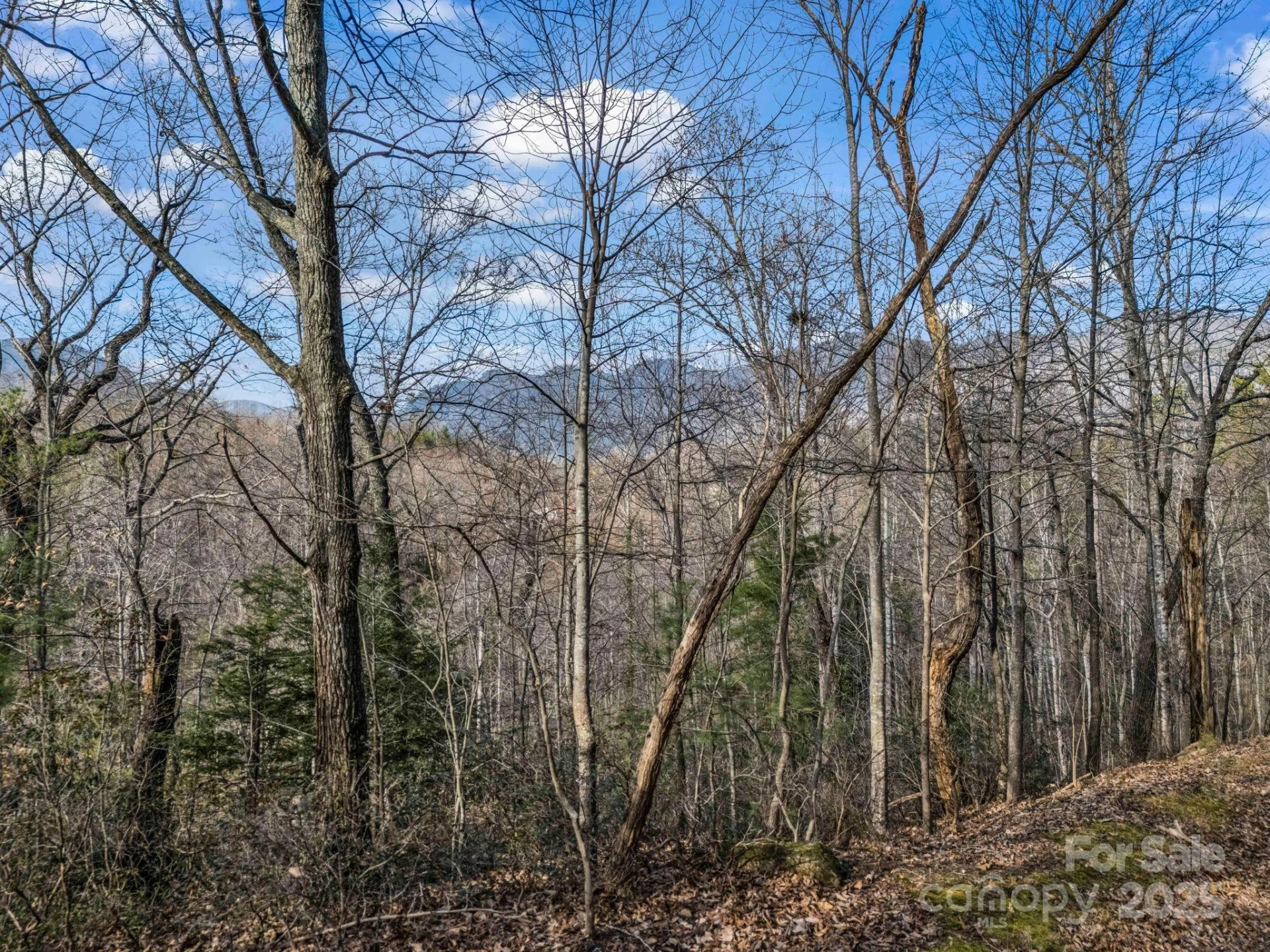 0000 Holmes Road - Photo 19