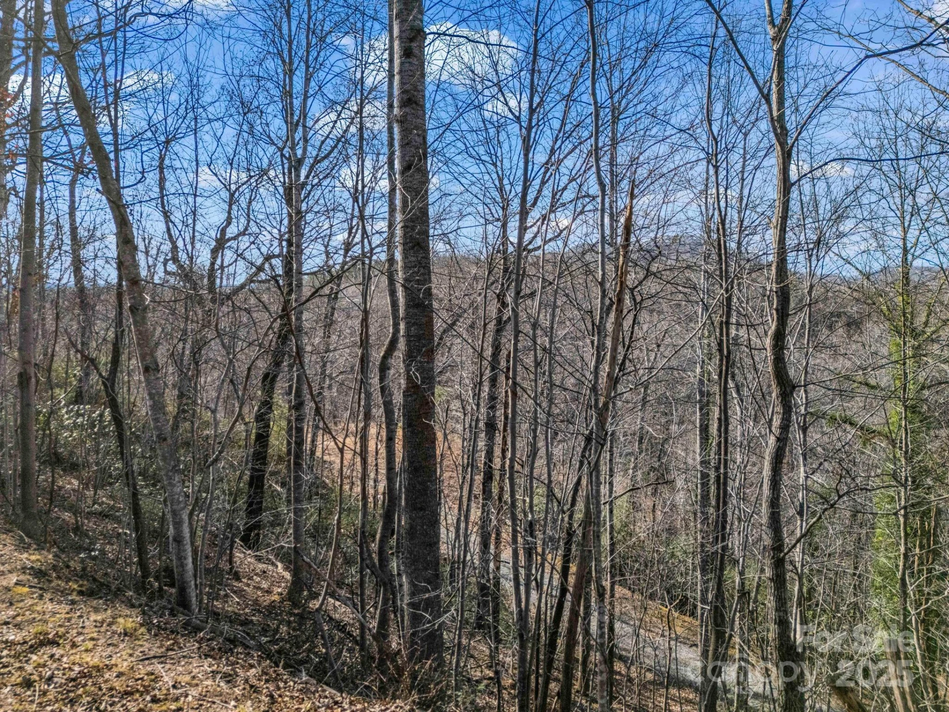 0000 Holmes Road - Photo 6