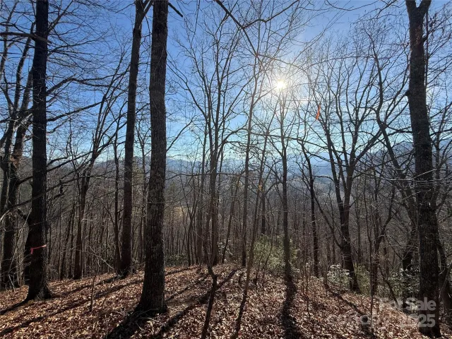 Lot 12 Bernies Trail