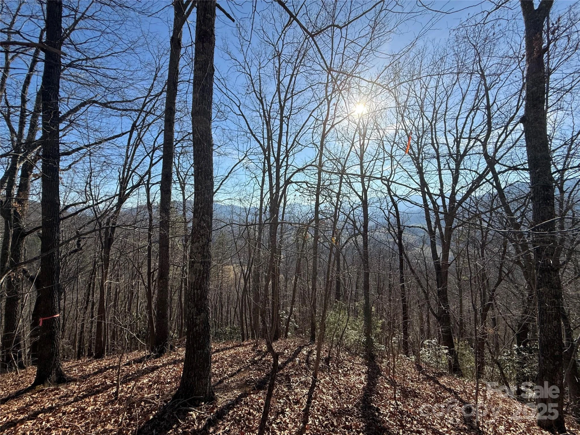 Lot 12 Bernies Trail #12