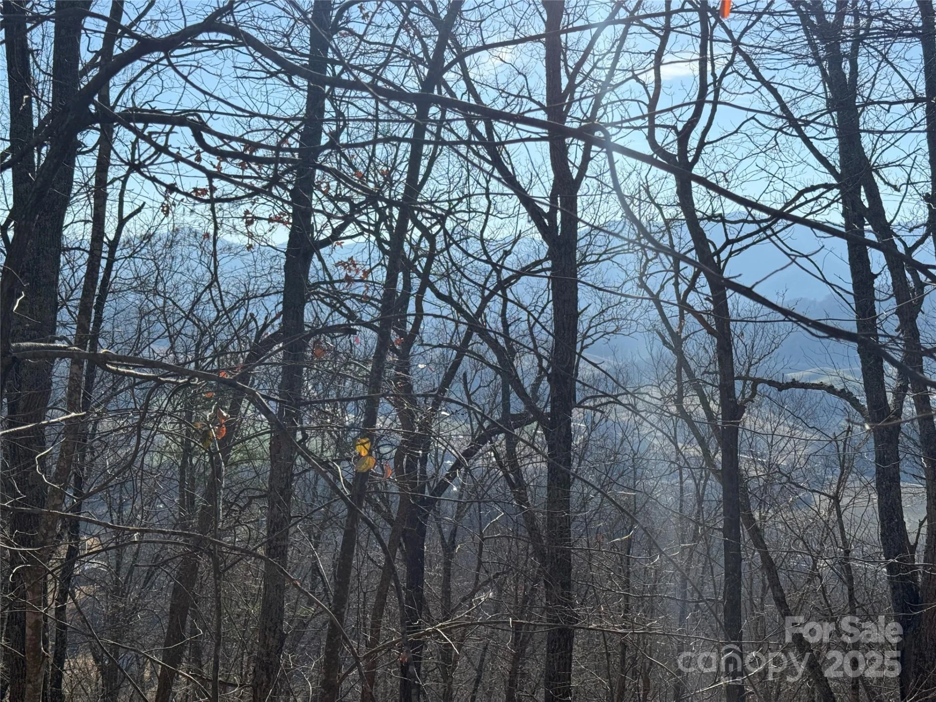 Lot 12 Bernies Trail #12 - Photo 16