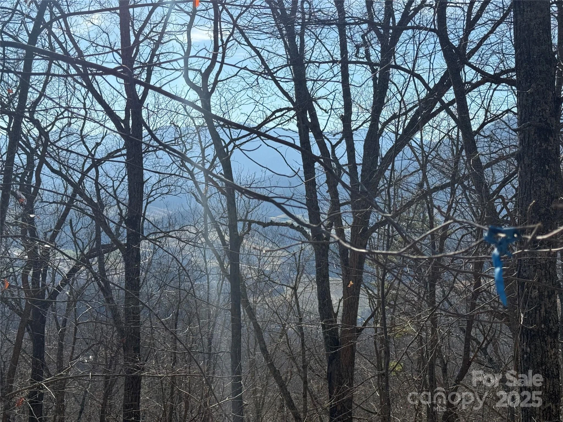 Lot 12 Bernies Trail #12 - Photo 17
