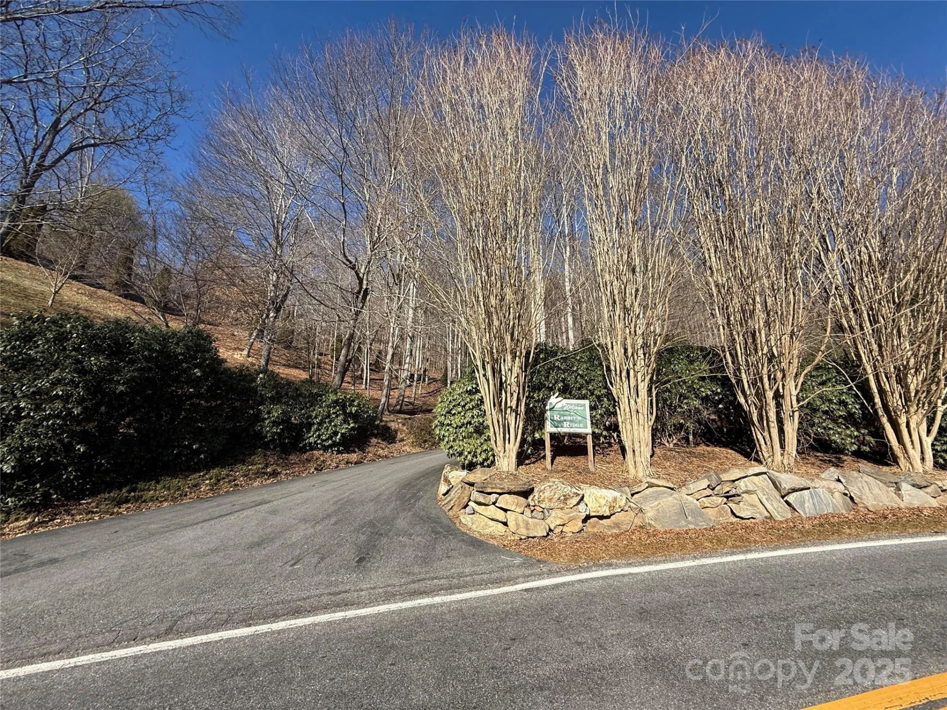 Lot 12 Bernies Trail #12 - Photo 7