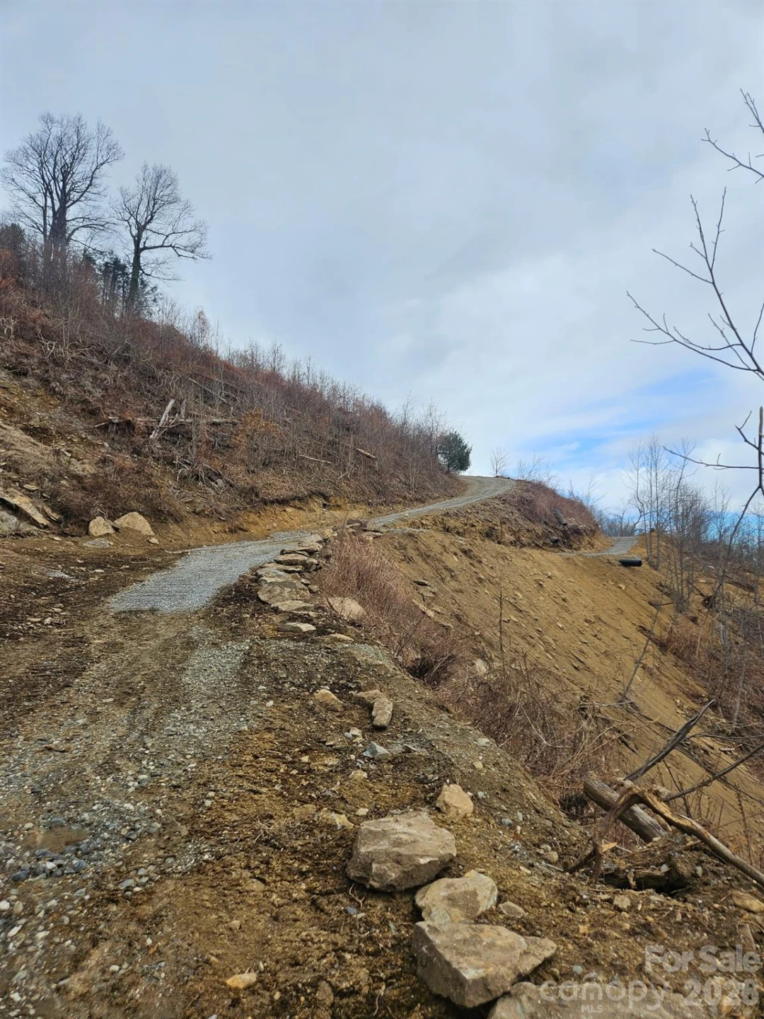 TBD Osborne Knob Road - Photo 15