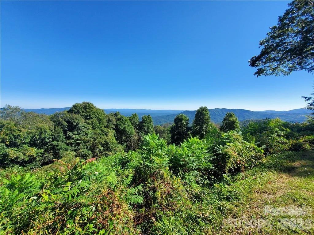 TBD Osborne Knob Road - Photo 5