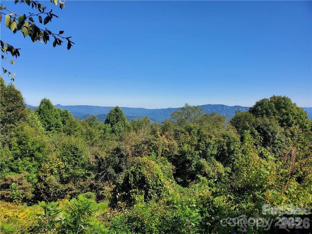 TBD Osborne Knob Road - Photo 7