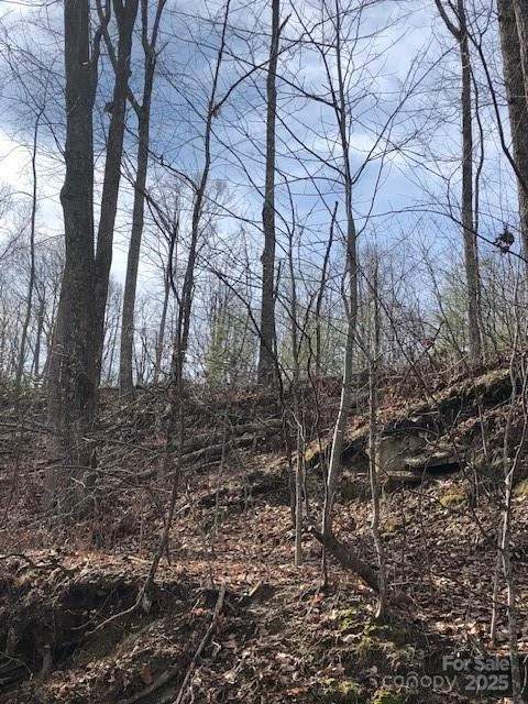 000 Marshall Ridge Road #79