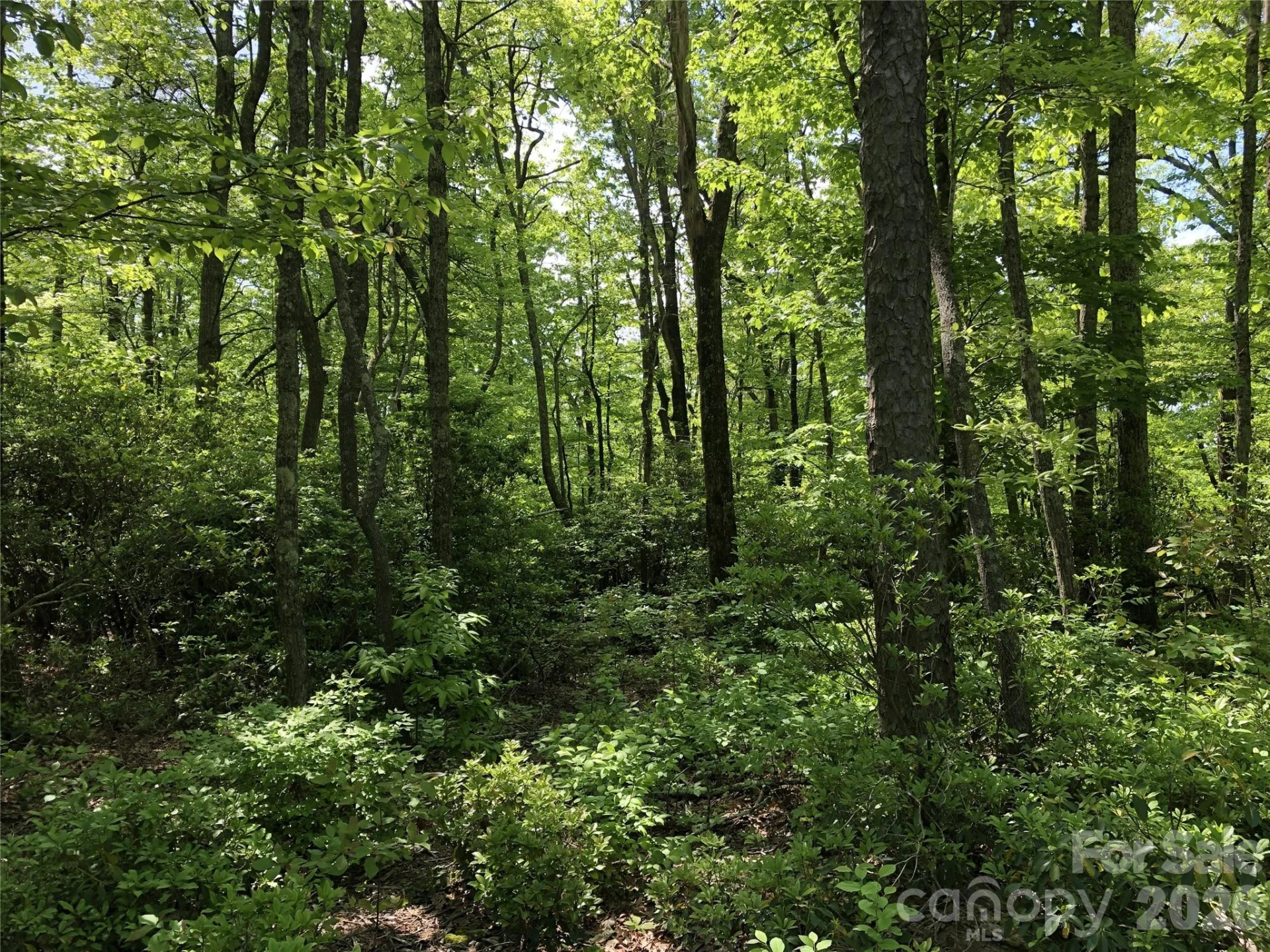 0 Millard Crossing #15